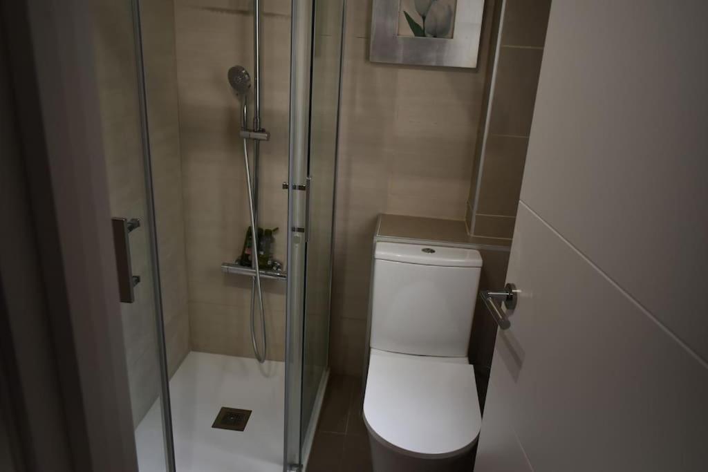 Precioso Piso En Centro Con Parking Gratis Appartement *